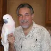 brokenwingaz