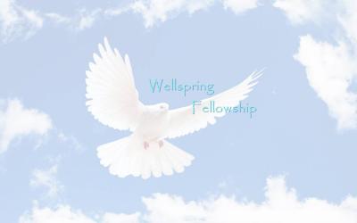 Wellspring Fellowship